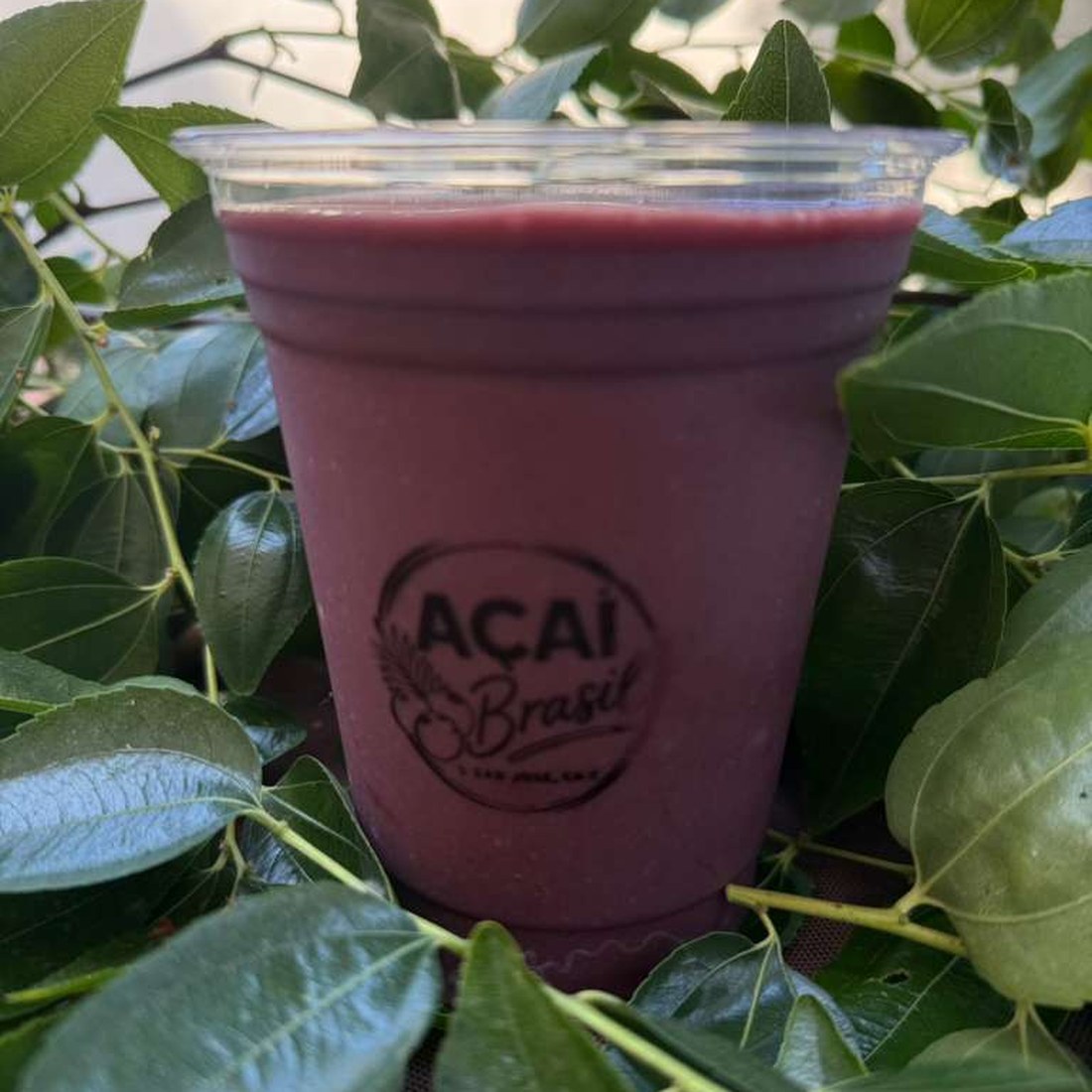 Açaí Brasil SJ smoothie in a branded cup, surrounded by green leaves